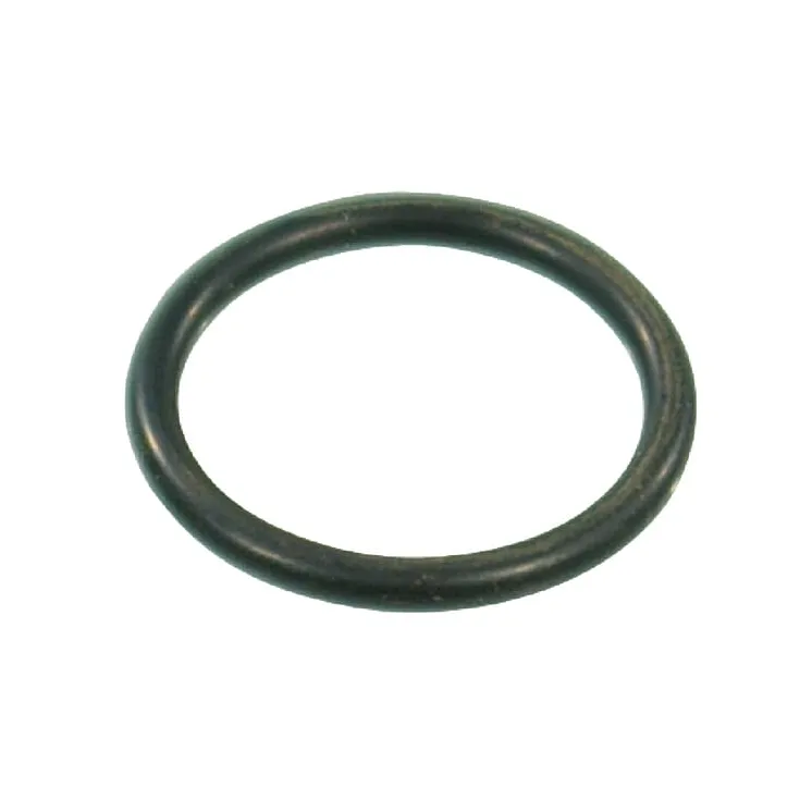 O-ring 20.29x2.62mm 70 shore EPDM black G10041 Arag
