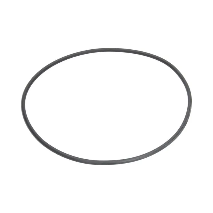 Seal 202.87x2.62mm 70 shore black G11069 Arag