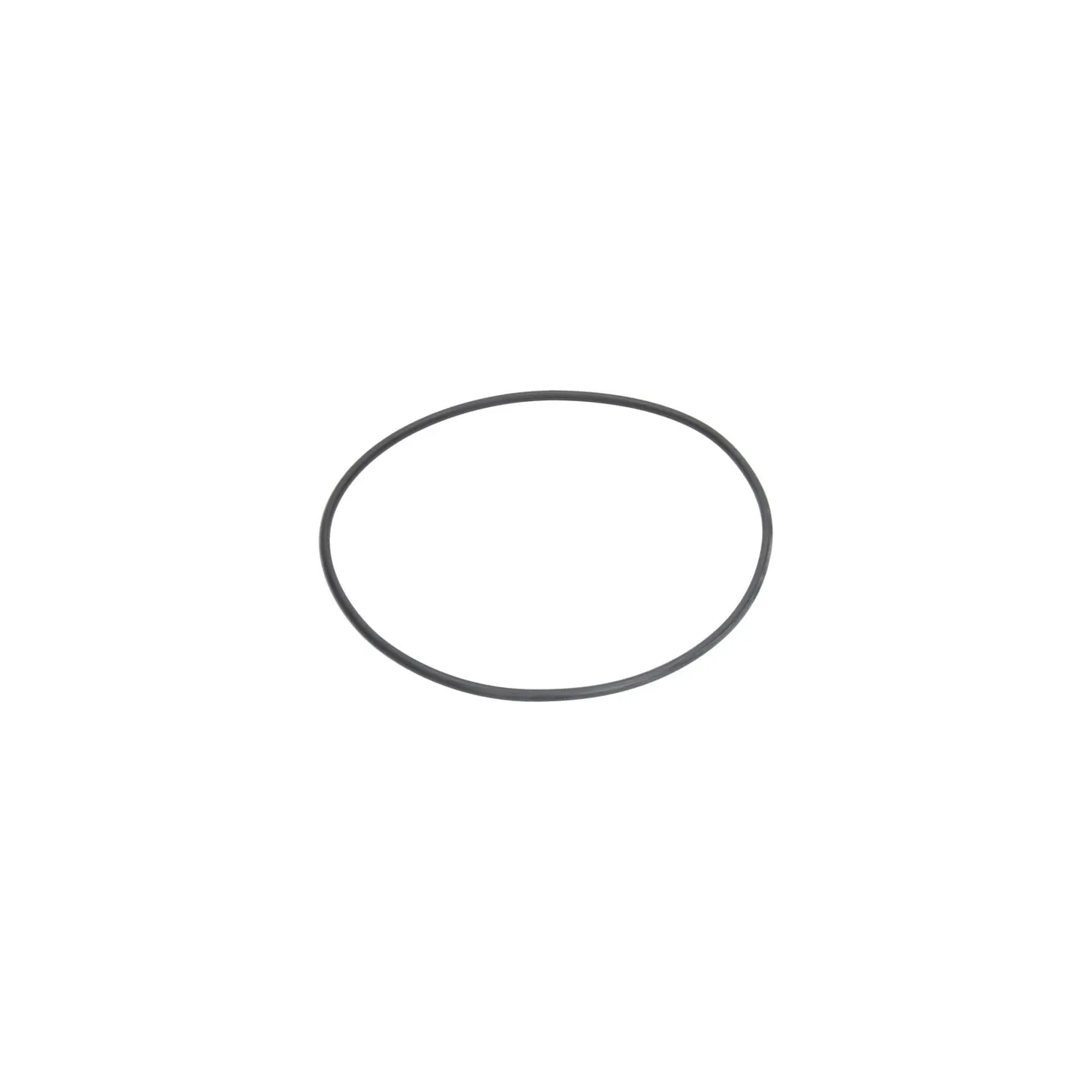 Seal 202.87x2.62mm 70 shore black G11069 Arag