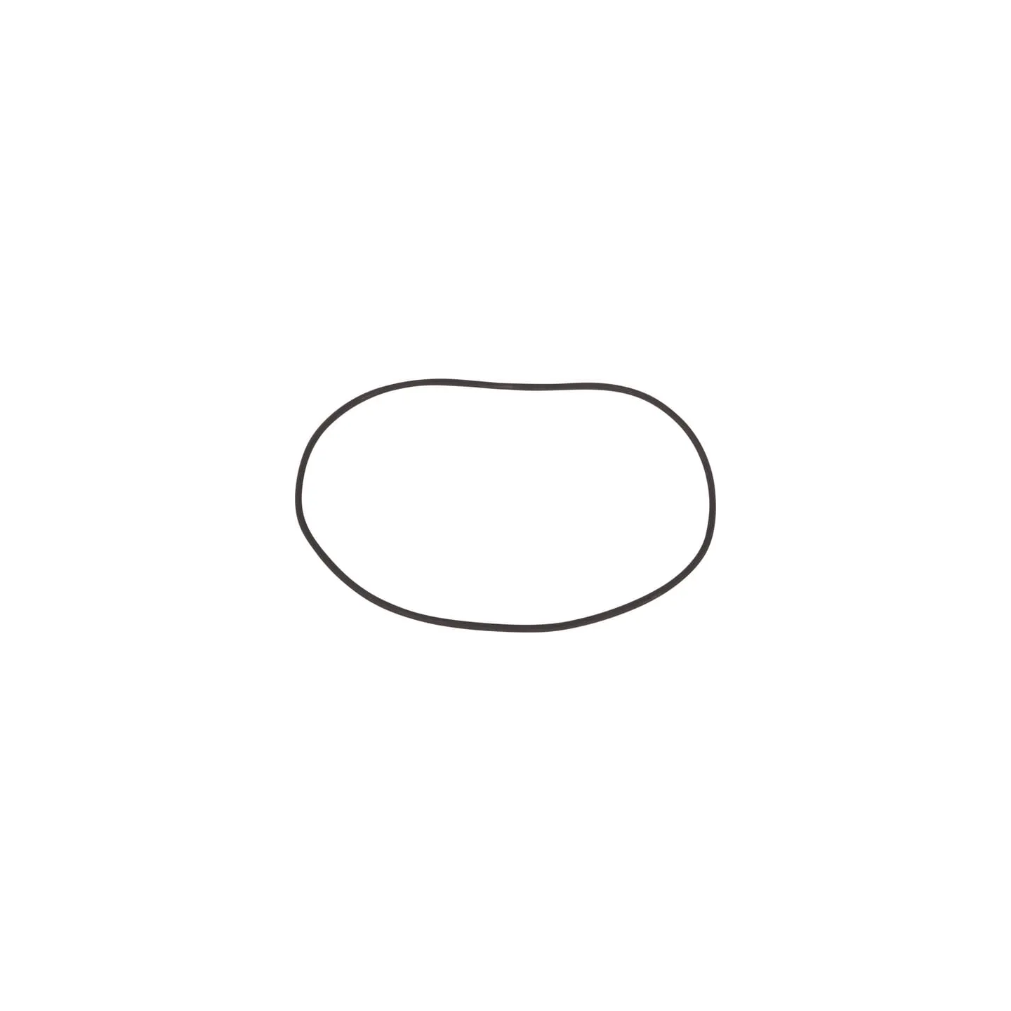 O-ring CI865555 Carraro