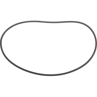 O-ring CI139231 Carraro