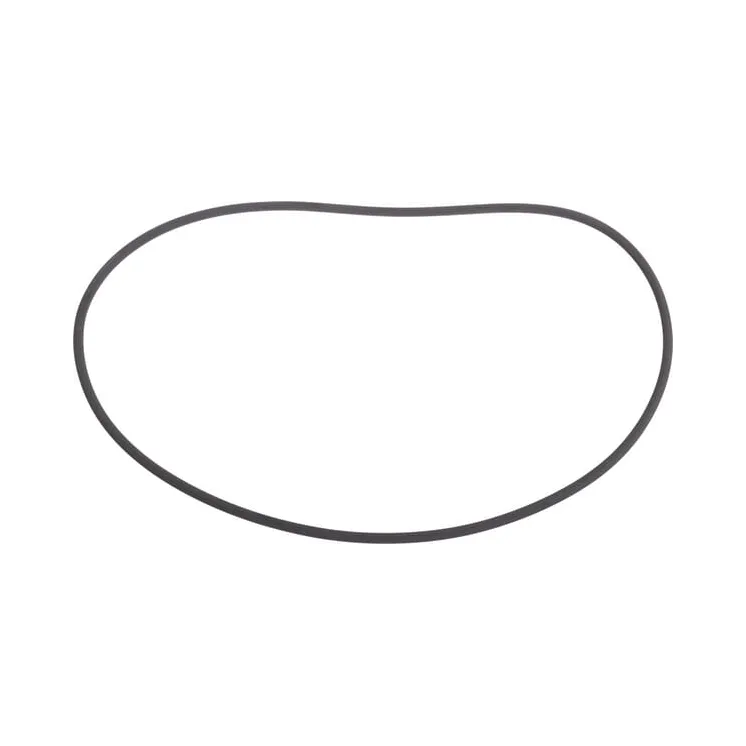 O-ring CI139231 Carraro