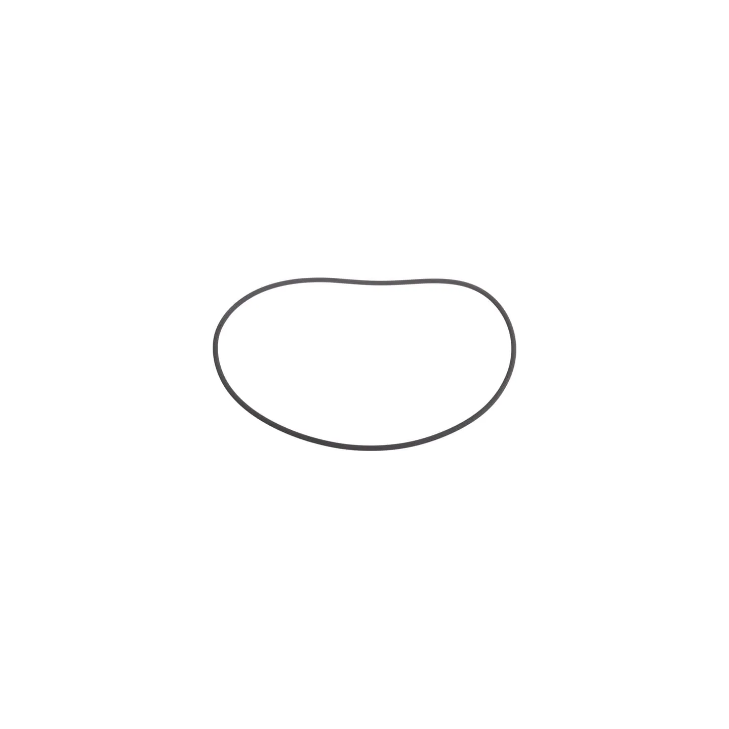 O-ring CI139231 Carraro