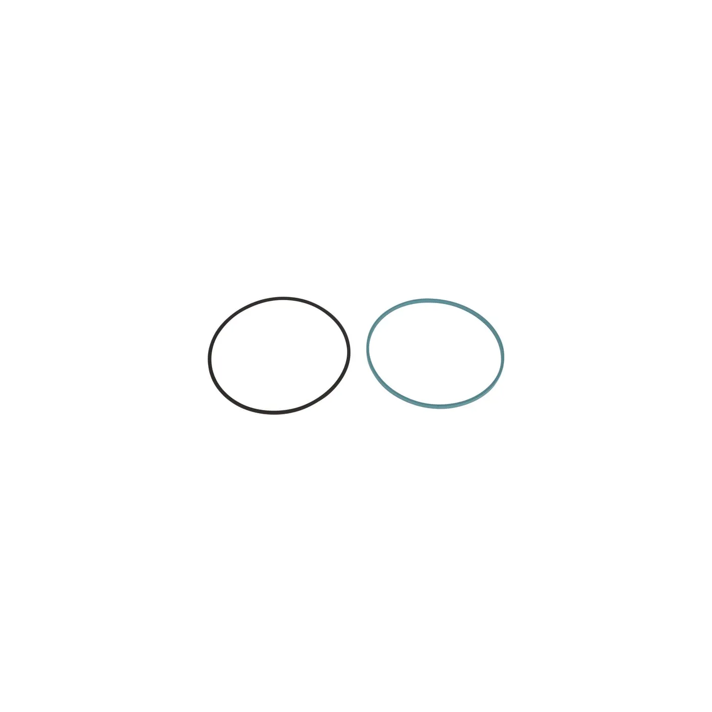 Ring kit CI868557 Carraro