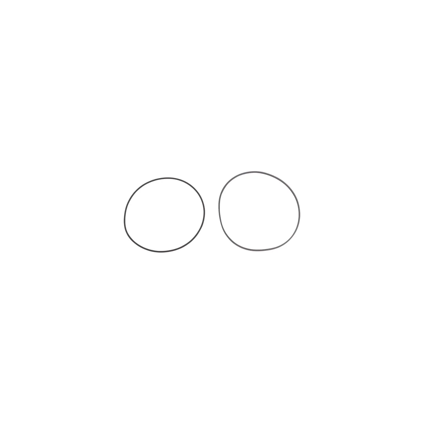 Axial seal ring D138+OR 3500 CI140807 Carraro