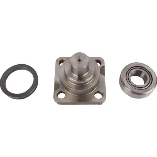 Karaliskais pins CI145714 Carraro V35603300