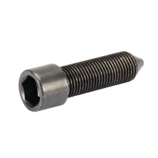 Screw M12x40 CI139936 Carraro