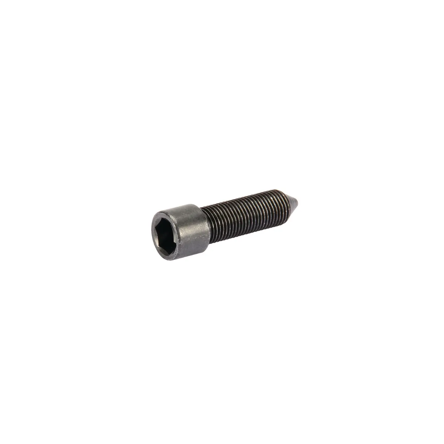 Screw M12x40 CI139936 Carraro