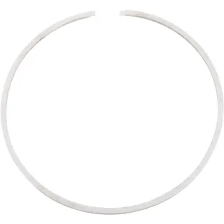 Eļļas blīvslēgs CI138790 Carraro