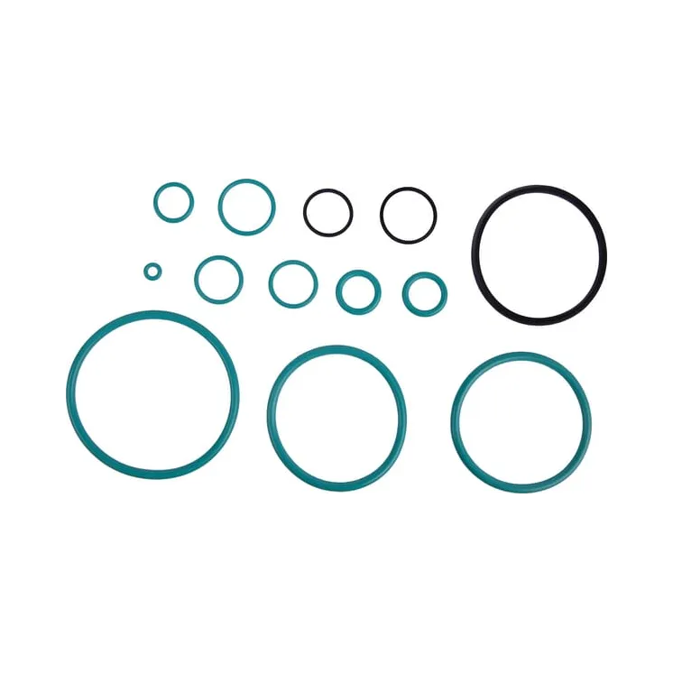 Repair kit CI046713 Carraro