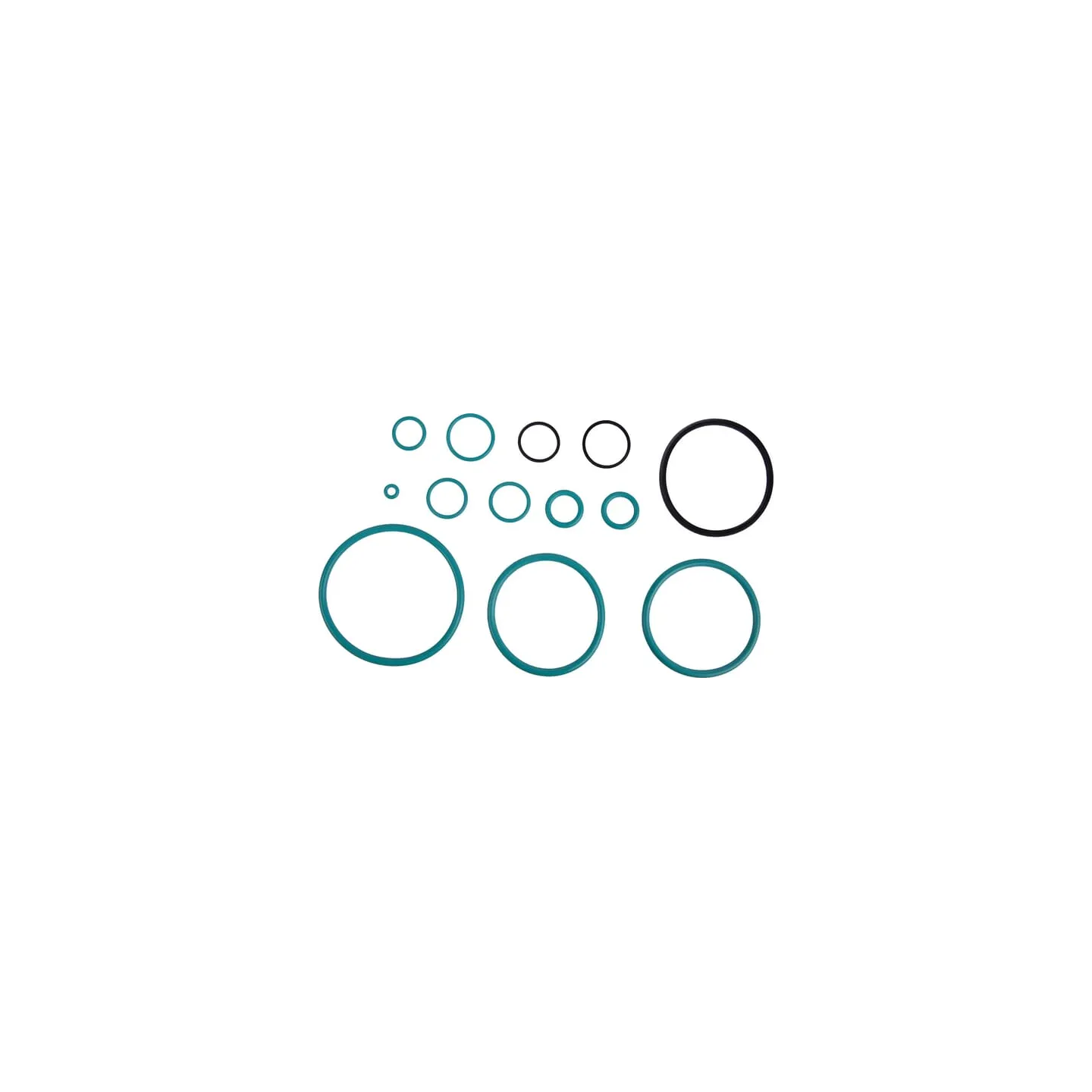 Repair kit CI046713 Carraro