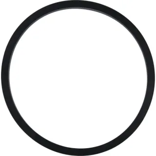 V-ring CI028640 Carraro