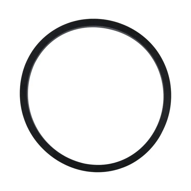 V-ring CI028640 Carraro