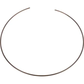 Circlip CI135572 Carraro