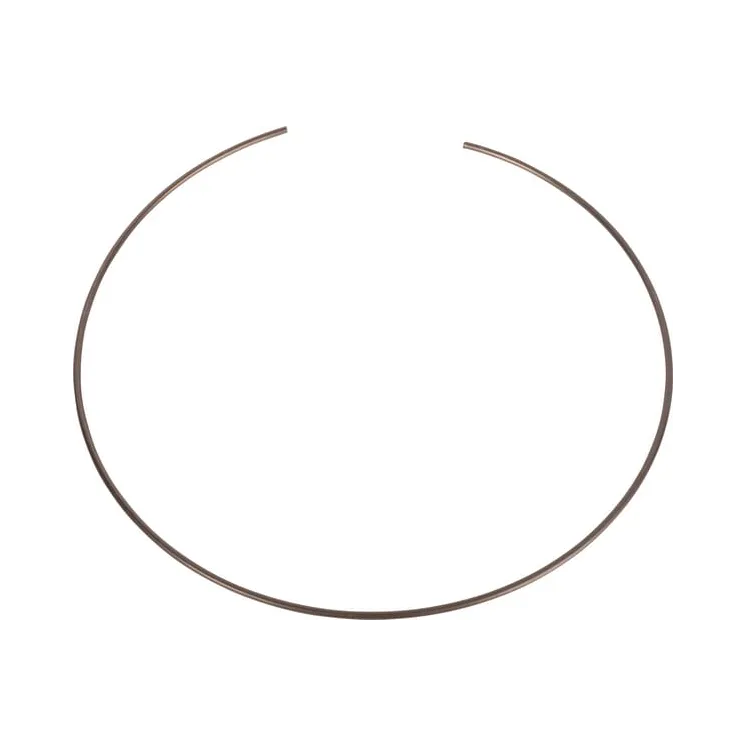 Circlip CI135572 Carraro