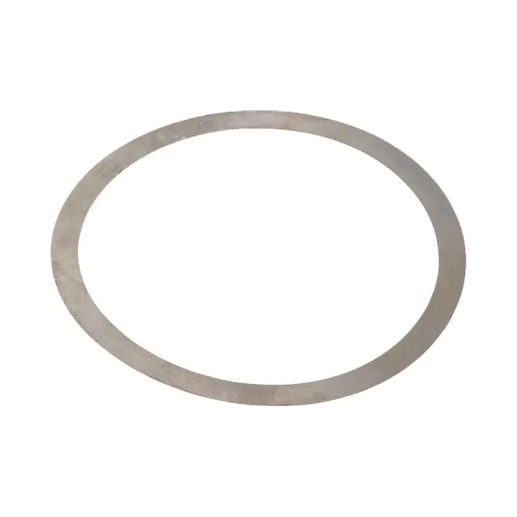 Atstatītāja gredzens 0.10mm CI097198 Carraro