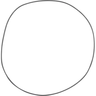 O-ring CI028632 Carraro