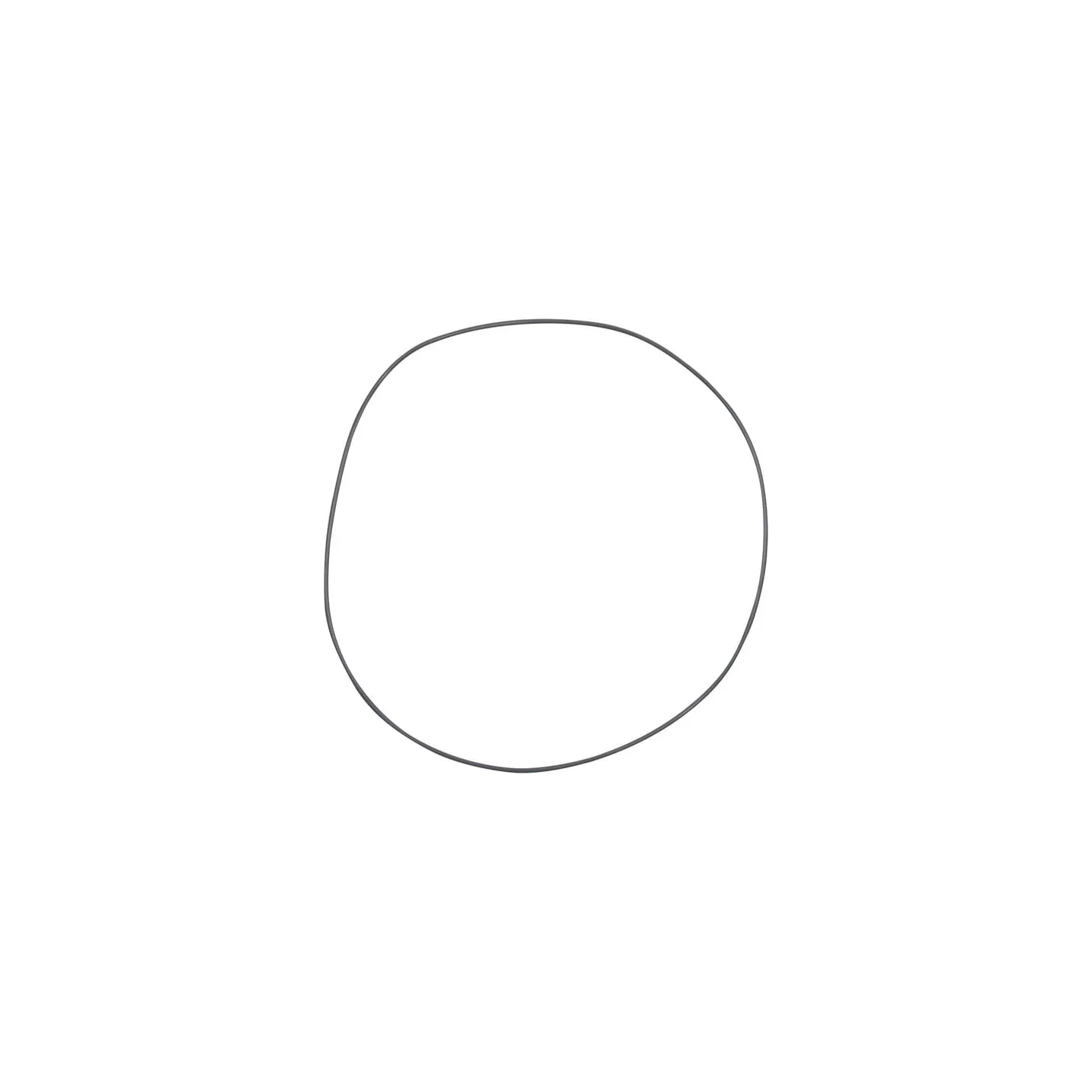O-ring CI028632 Carraro