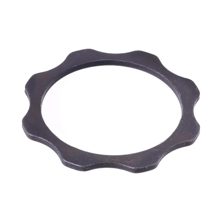 Washer CI132165 Carraro
