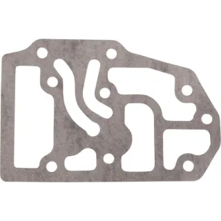 Blīvslēgs CI131329 Carraro