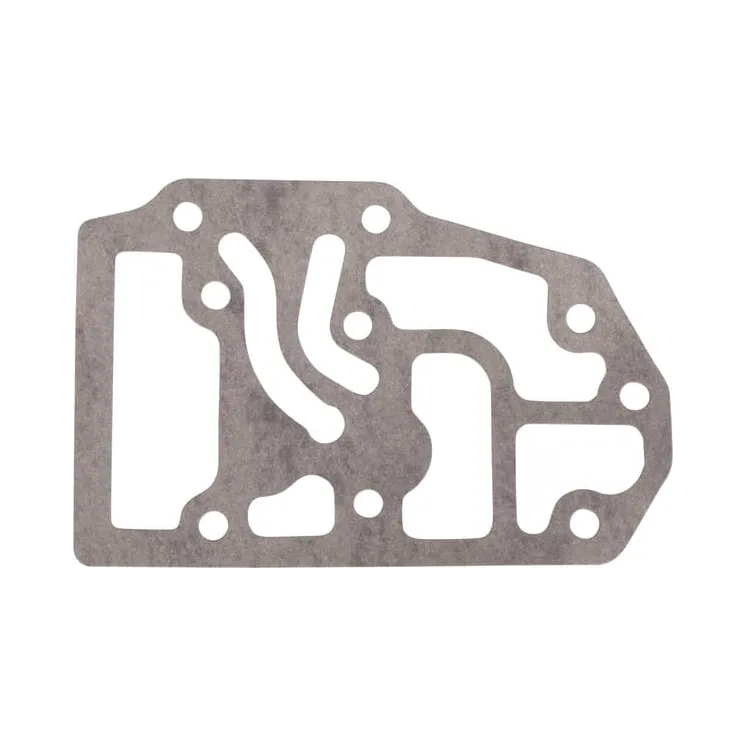 Blīvslēgs CI131329 Carraro