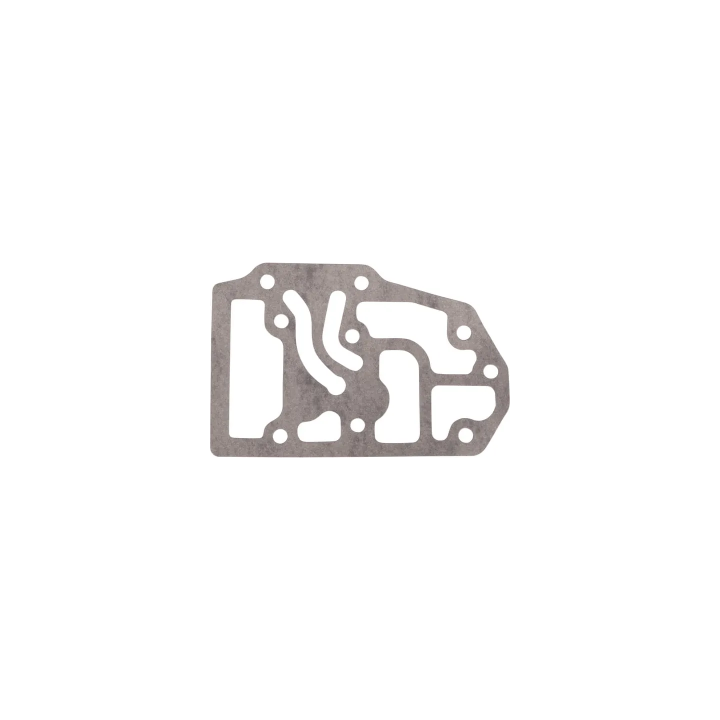 Blīvslēgs CI131329 Carraro