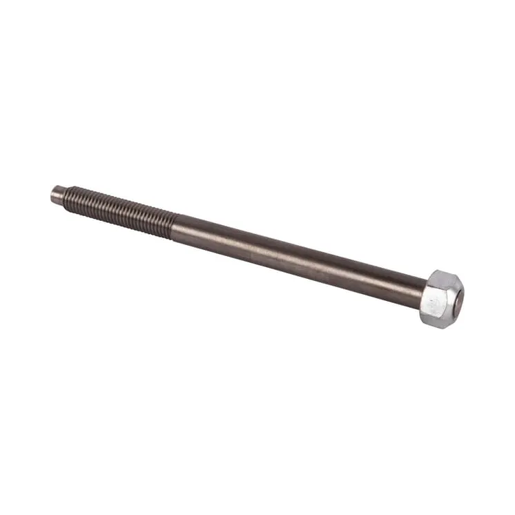 Skrūve CI046879 Carraro