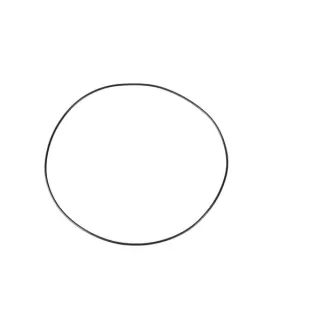 O-ring CI028639 Carraro