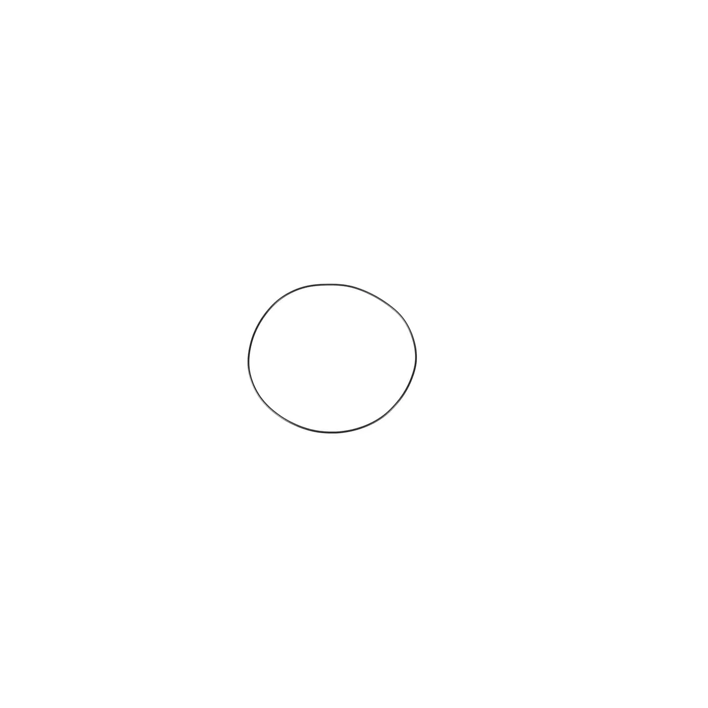 O-ring CI028639 Carraro