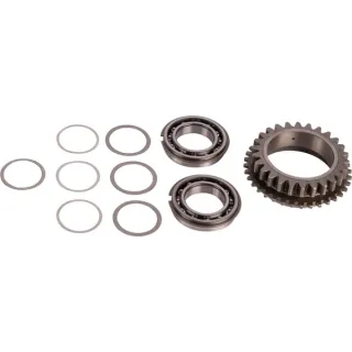 Gear CI068077 Carraro