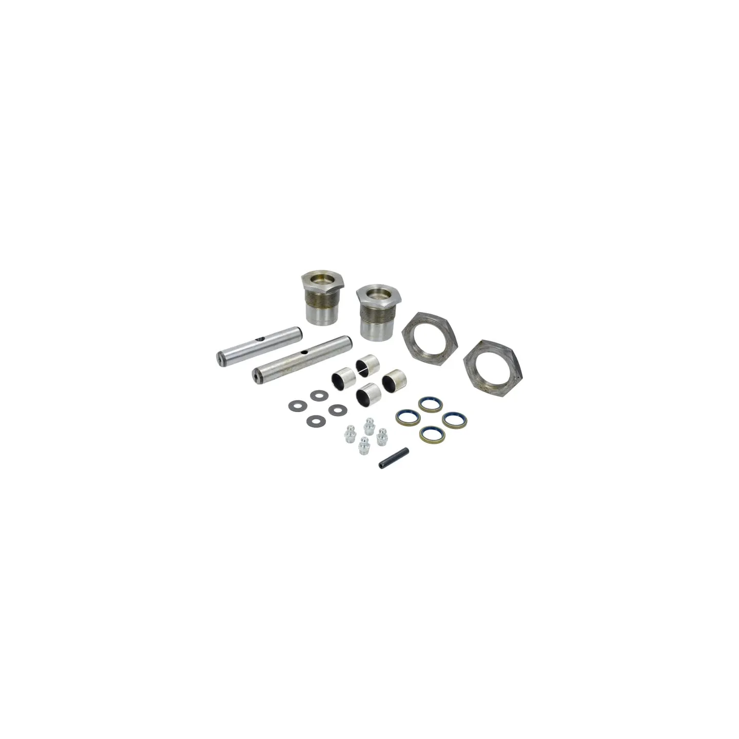 Pinu komplekts CI068873 Carraro