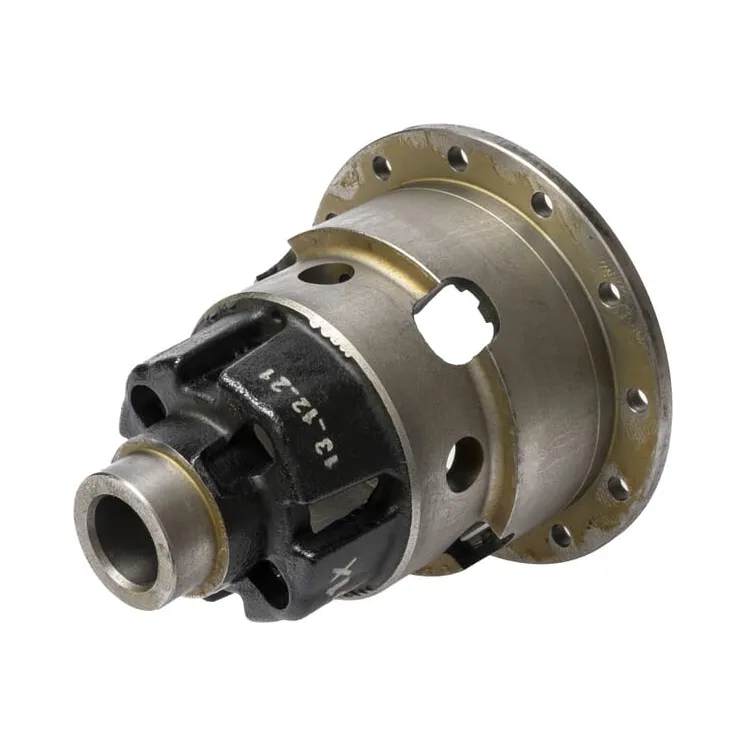 Differential, housings CI133925 Carraro