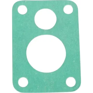 Seal CI132919 Carraro