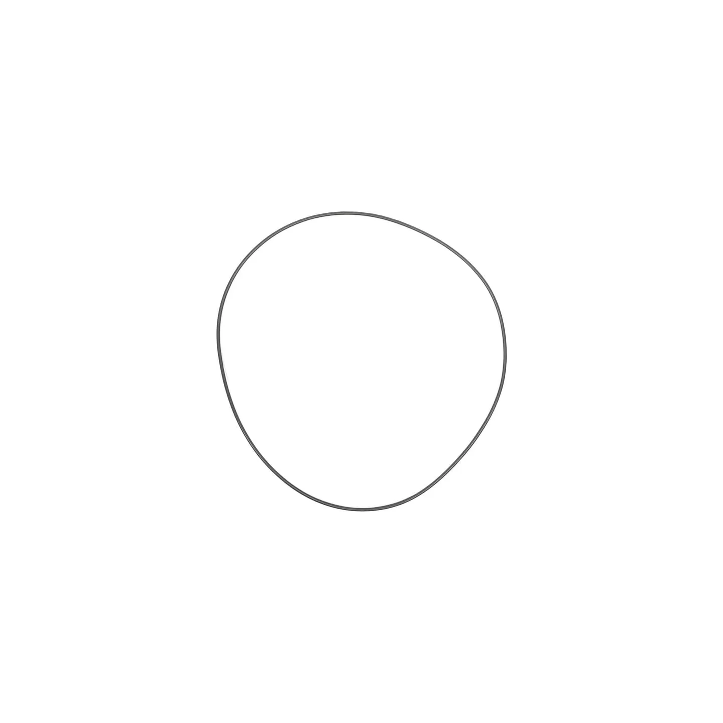 O-ring CI133759 Carraro
