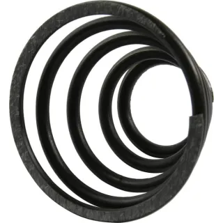 Atsperes CI079475 Carraro