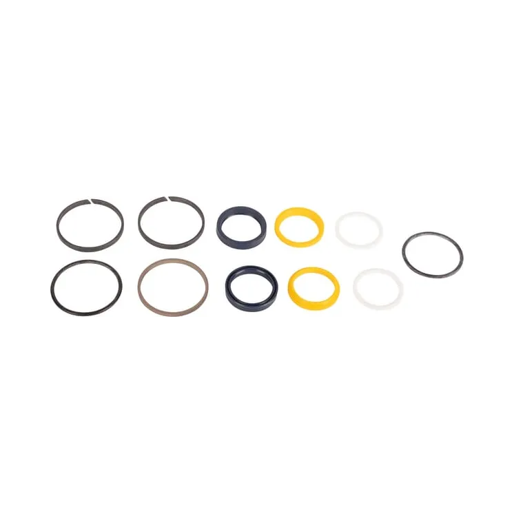 Blīvju komplekts CI049130 Carraro ER049130