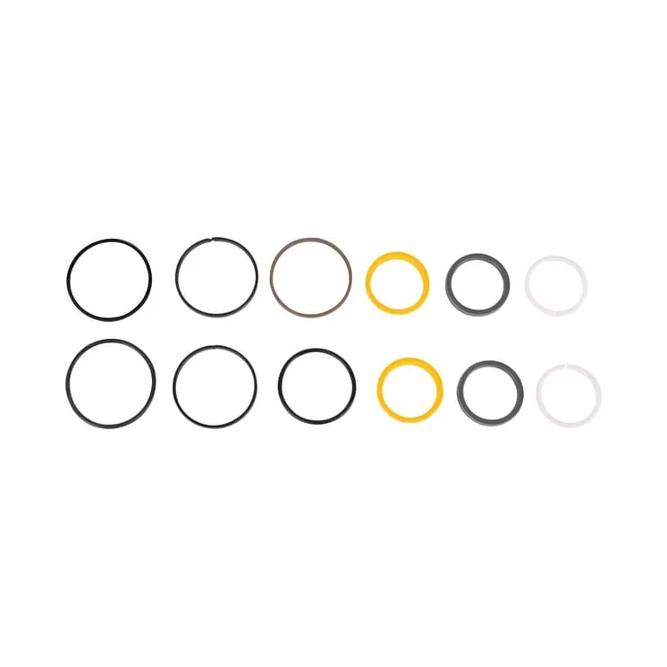 Seal kit CI049105 Carraro