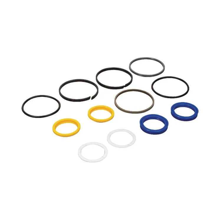 Seal kit CI049214 Carraro 300161A1 3903689M91