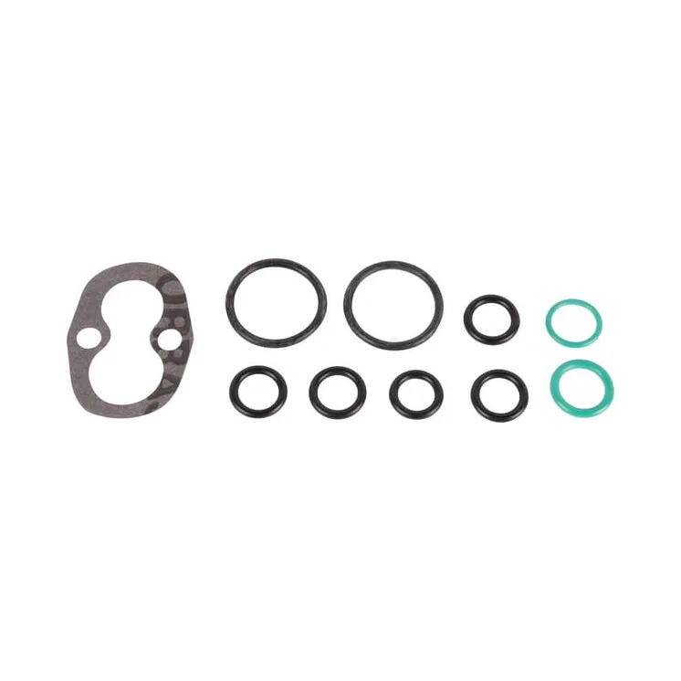 Remonta komplekts CI046917 Carraro