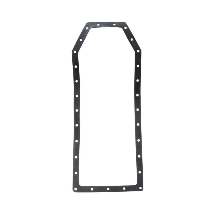 Blīvslēgs CI078409 Carraro