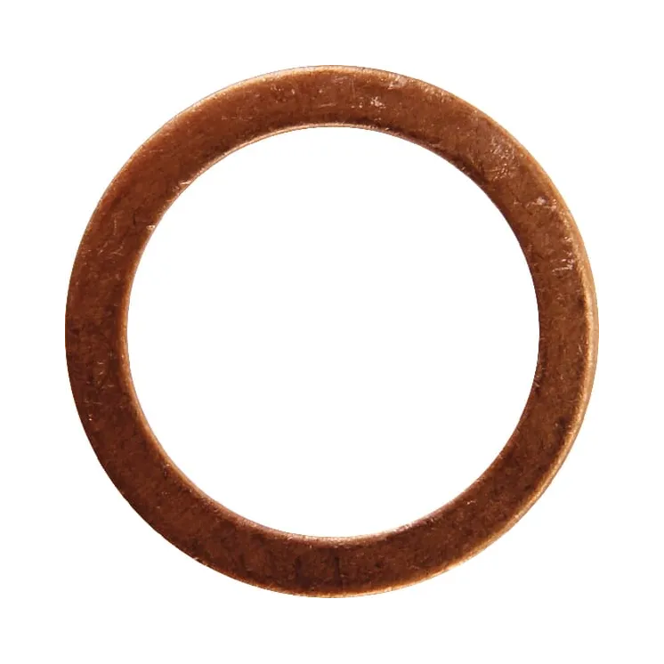 Washer 24x18x1,5 CI023268 Carraro
