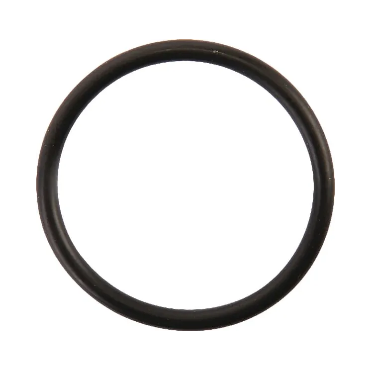 O-Ring CI028171 Carraro
