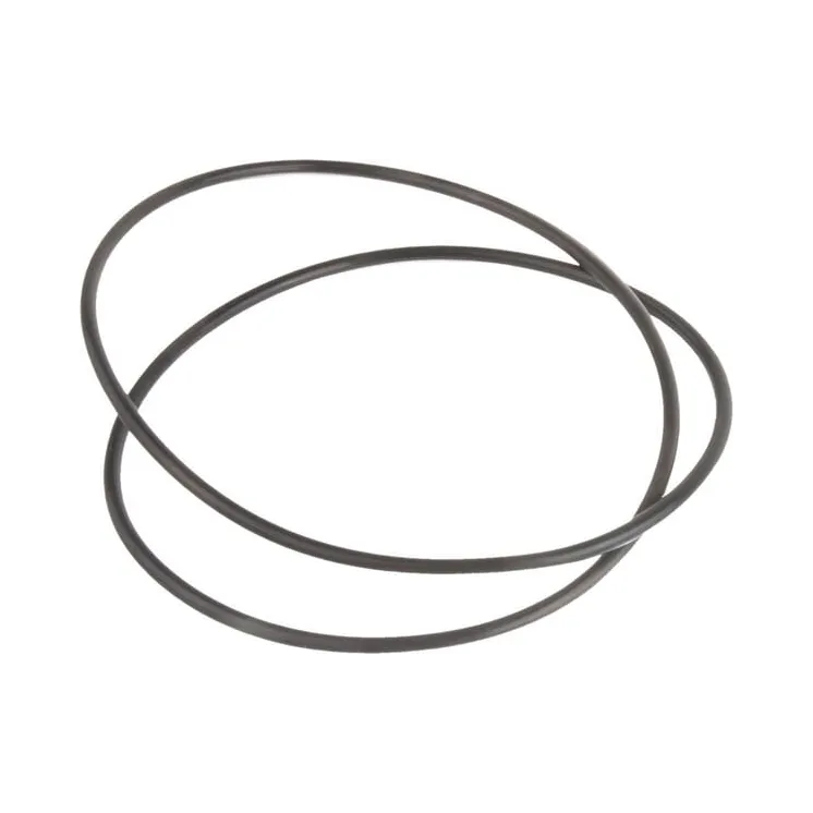 O-ring CI028498 Carraro