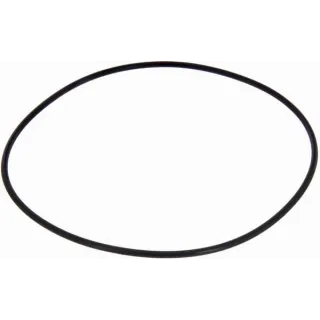 O-gredzens CI028499 Carraro