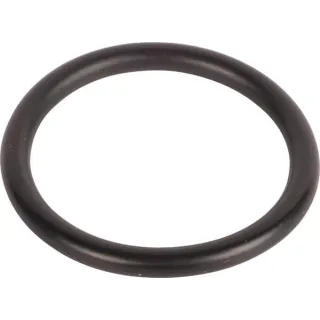 O-ring CI028121 Carraro
