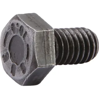 Screw CI020485 Carraro