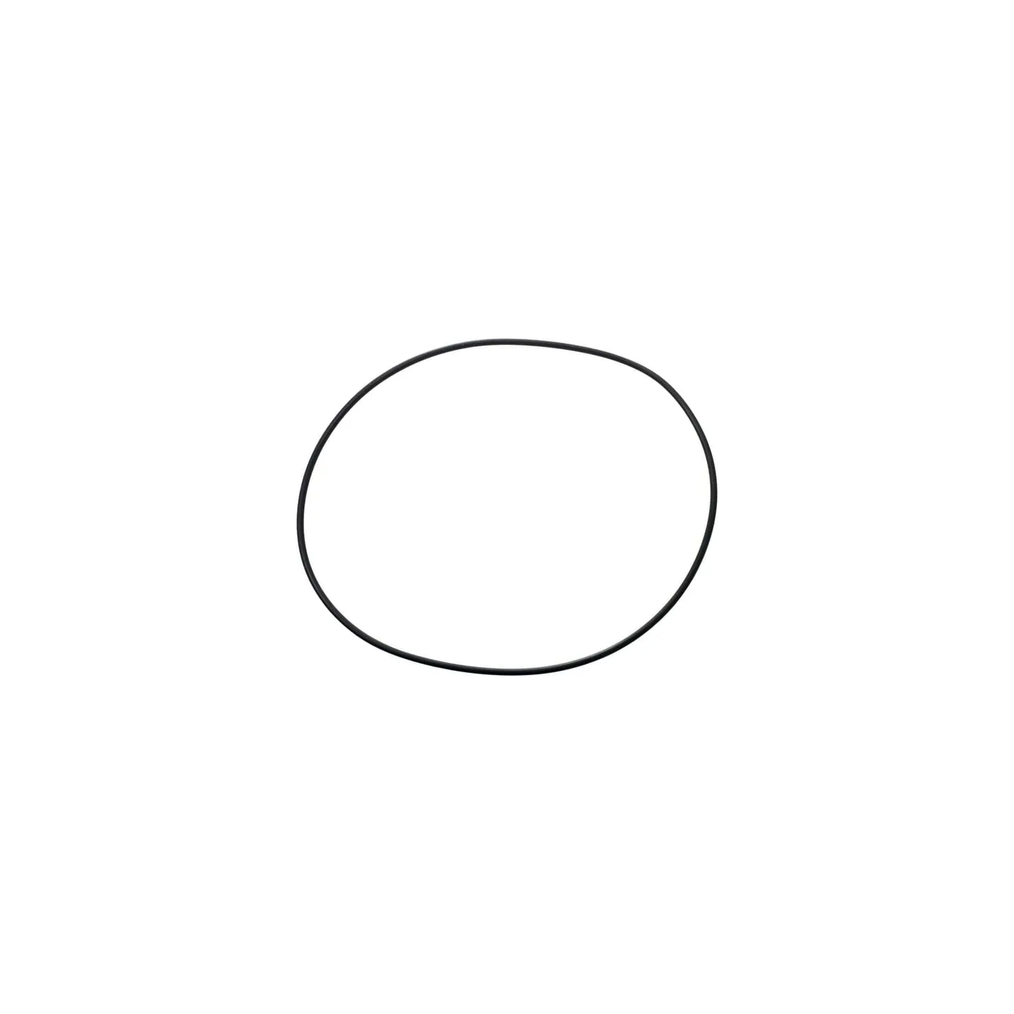 O-ring CI028571 Carraro