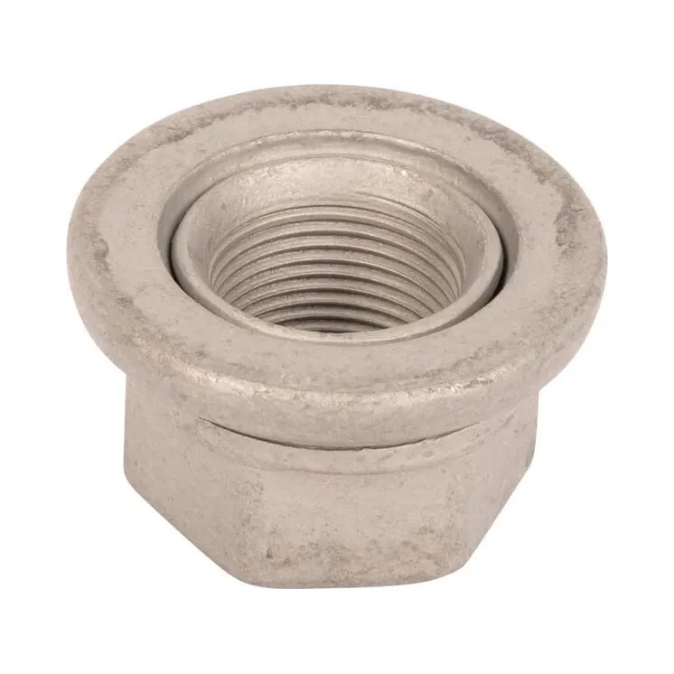 Nut CI022381 Carraro