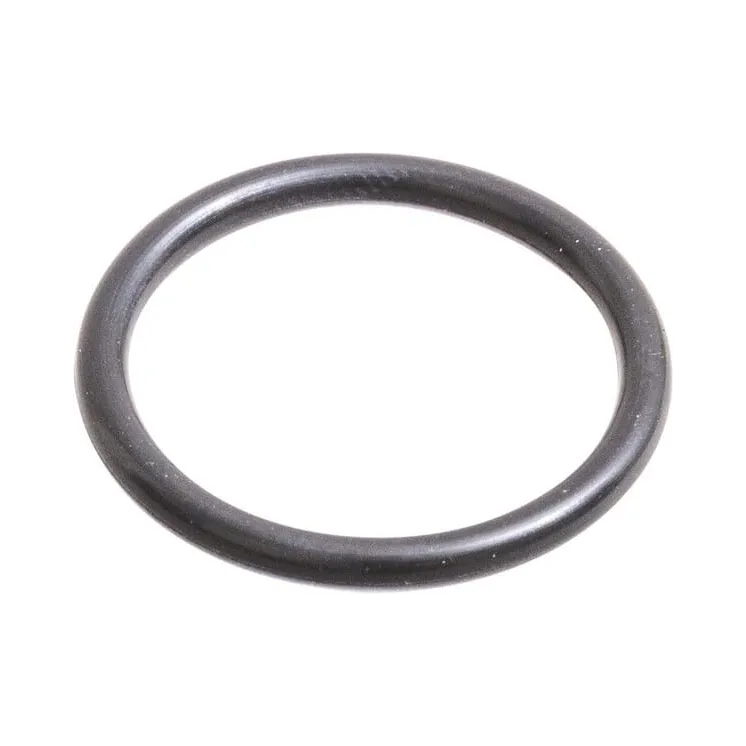 O-ring CI028576 Carraro