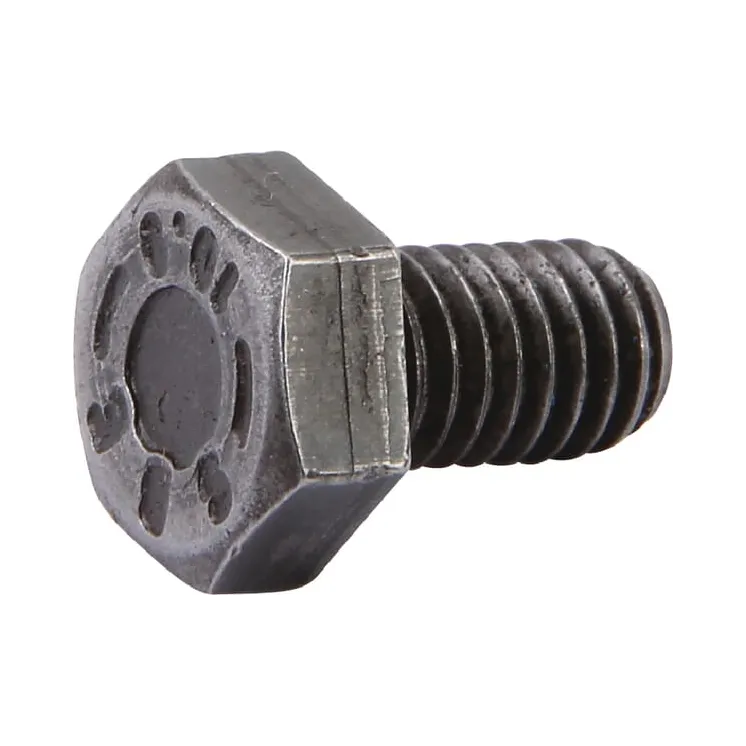 Screw CI021693 Carraro